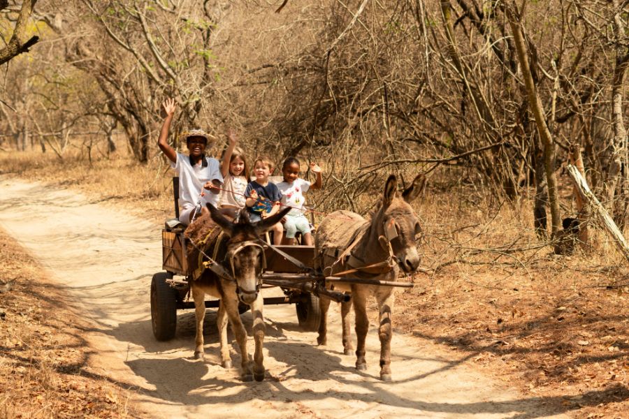 AFRICAMPS-WATERBERG-donkey-cart-rides